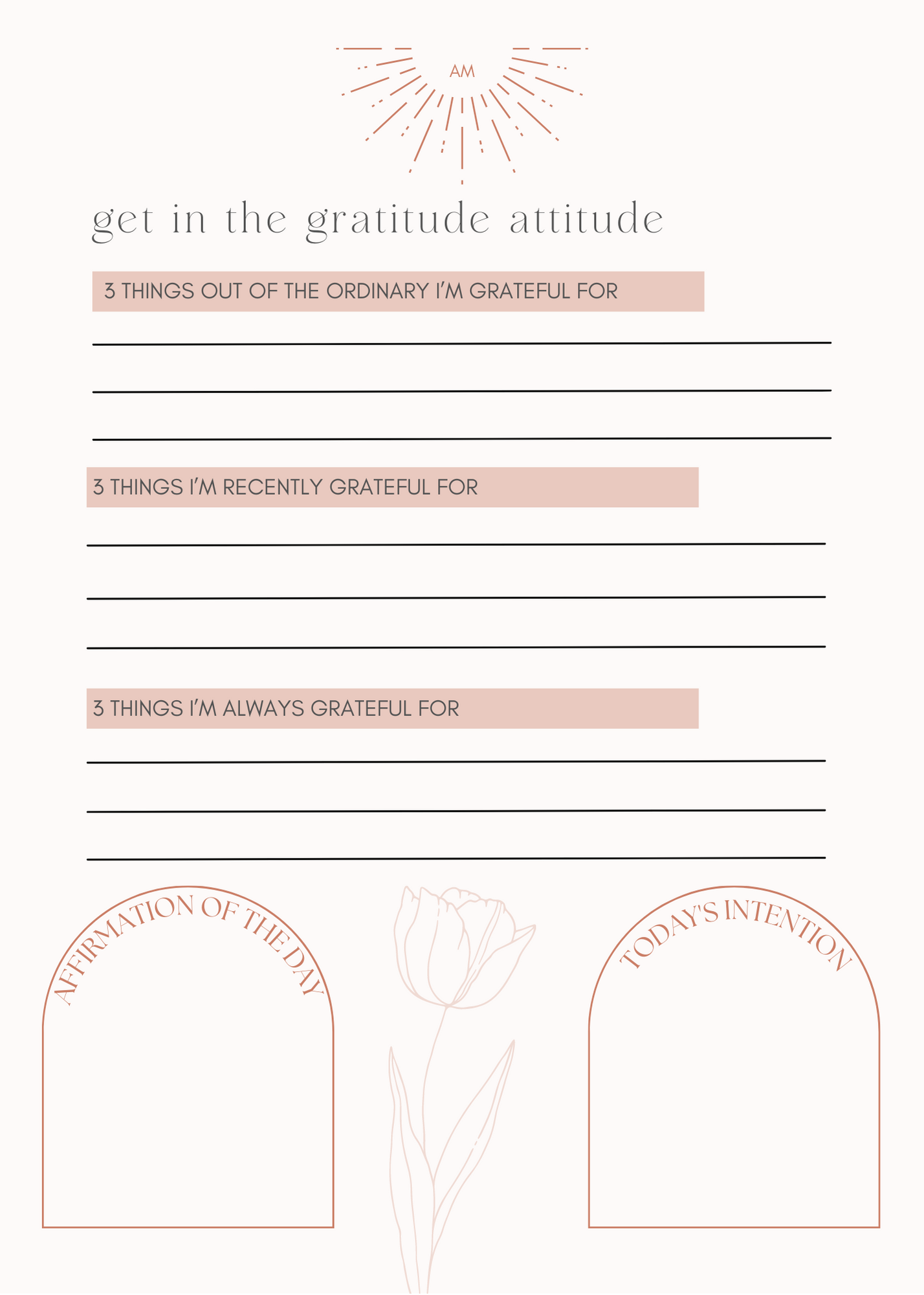 the gratitude journal